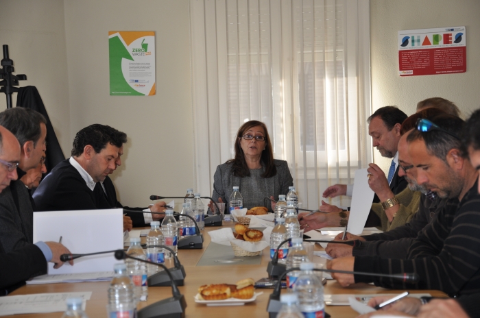Imagen de la Comisión Ejecutiva con la presidenta de la FAMCP, Carmen Sánchez, dirigiendo la reunión.