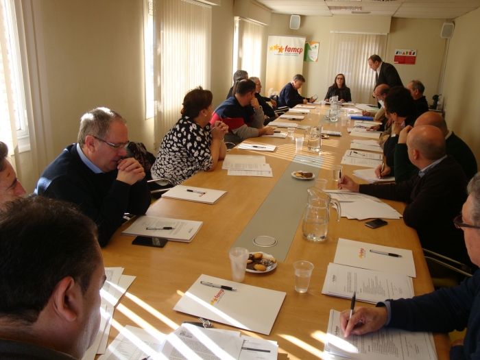 La FAMCP impulsa ordenanzas municipales para la igualdad y sobre instalaciones de transporte de energías